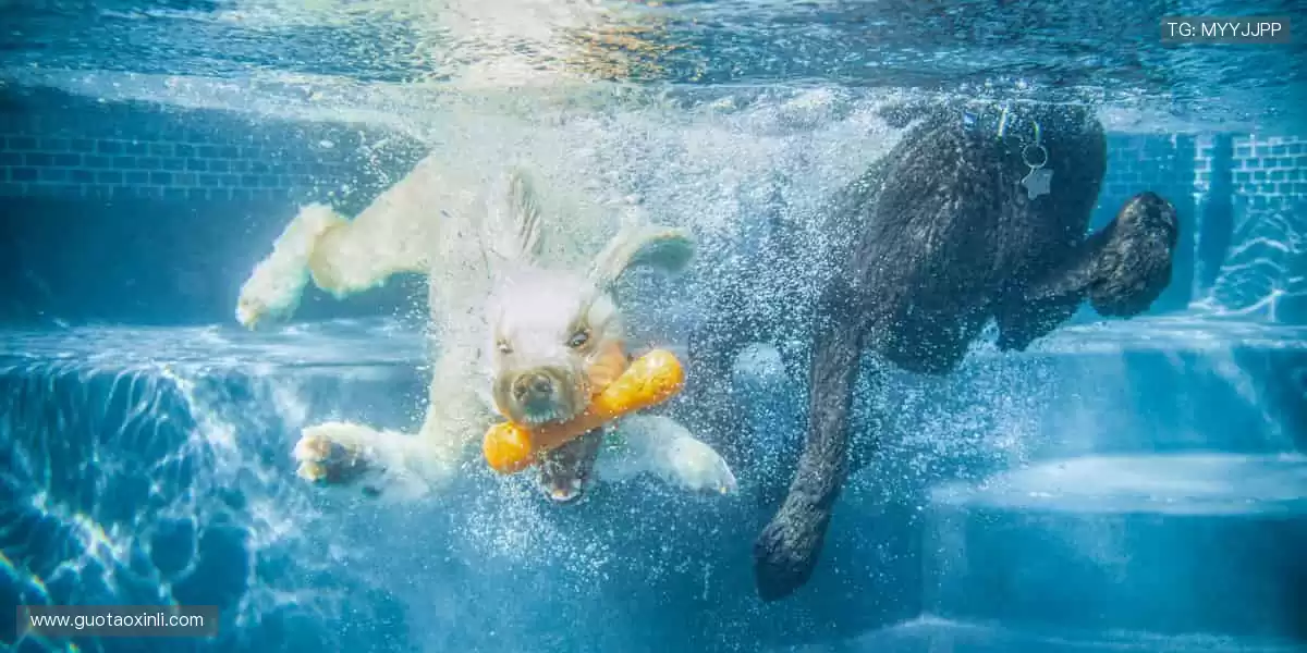 👕限量潮品,实力见证!用细节诠释你对体育的极致追求!